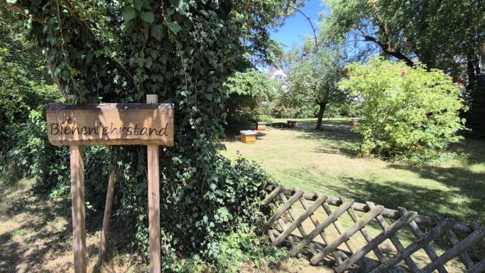 Bienenlehrstand Bienenlehrstand