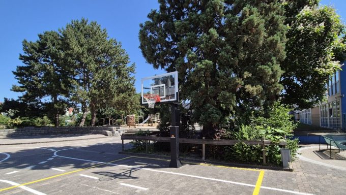 Basketball