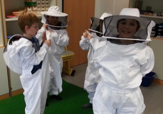 Bienen-AG